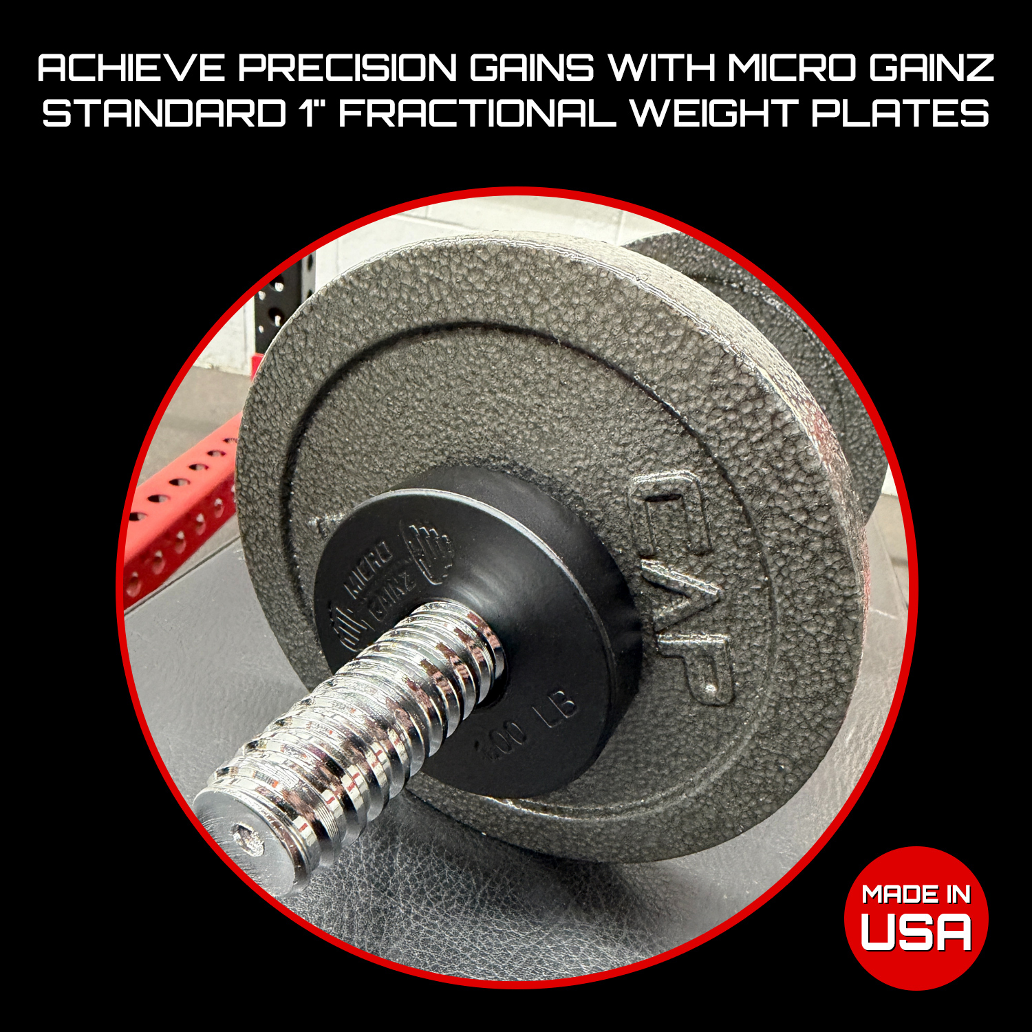 Micro Gainz Standard 1-Inch Center Hole Fractional Weight Plates Pair of 1LB Plates