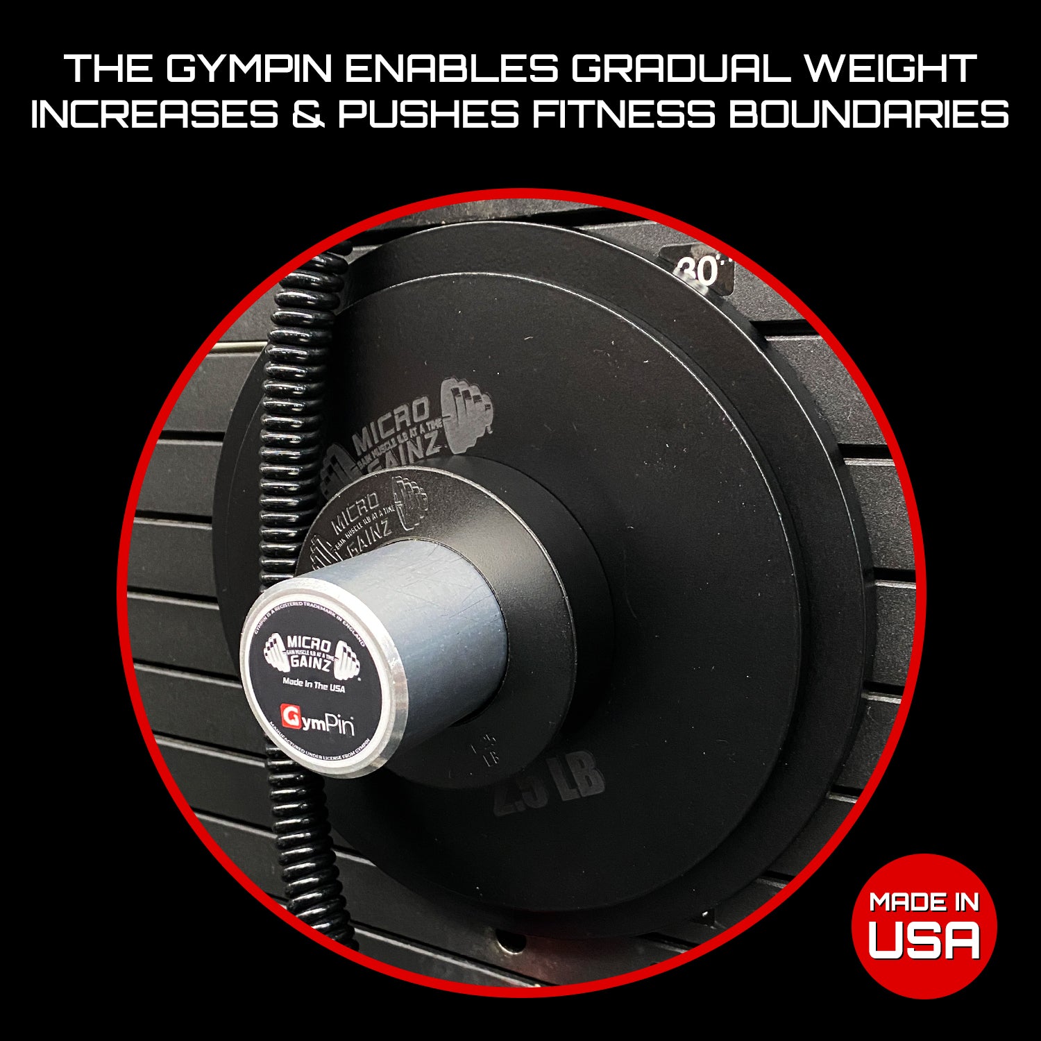 Micro Gainz x Temple of Gainz GymPin (3" Length)