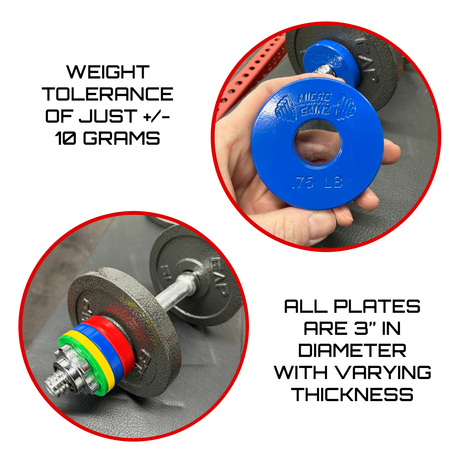 Micro Gainz Standard 1-Inch Center Hole Fractional Weight Plates Set of 10 Plates .25LB-1.25LB  w/ Bag