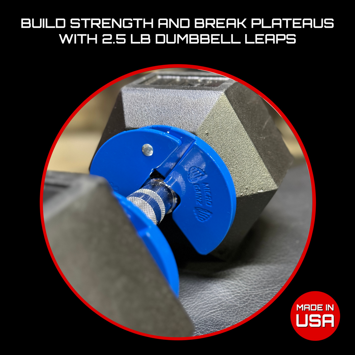 Micro Gainz Blue 1.25LB Dumbbell Fractional Weight Plates 4 Pack (BLEMISHED SET)